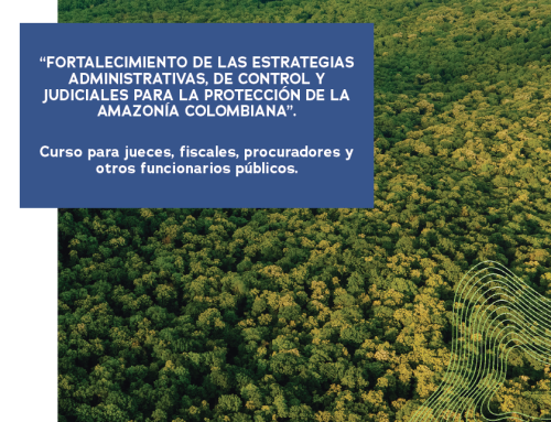 REPORTE DE IMPACTO:“Fortalecimiento de las estrategias administrativas, de control y judiciales para la protección de la Amazonía colombiana”